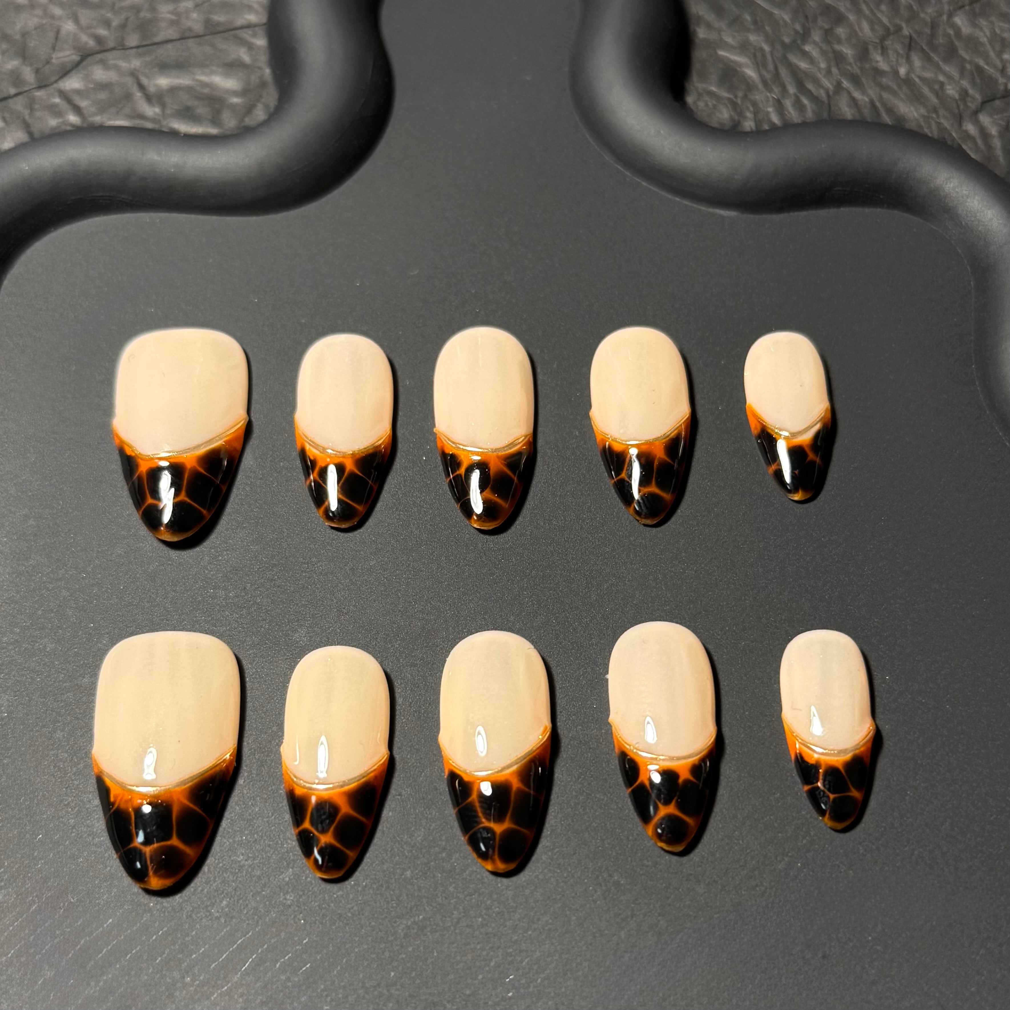 Amber Tortoise French