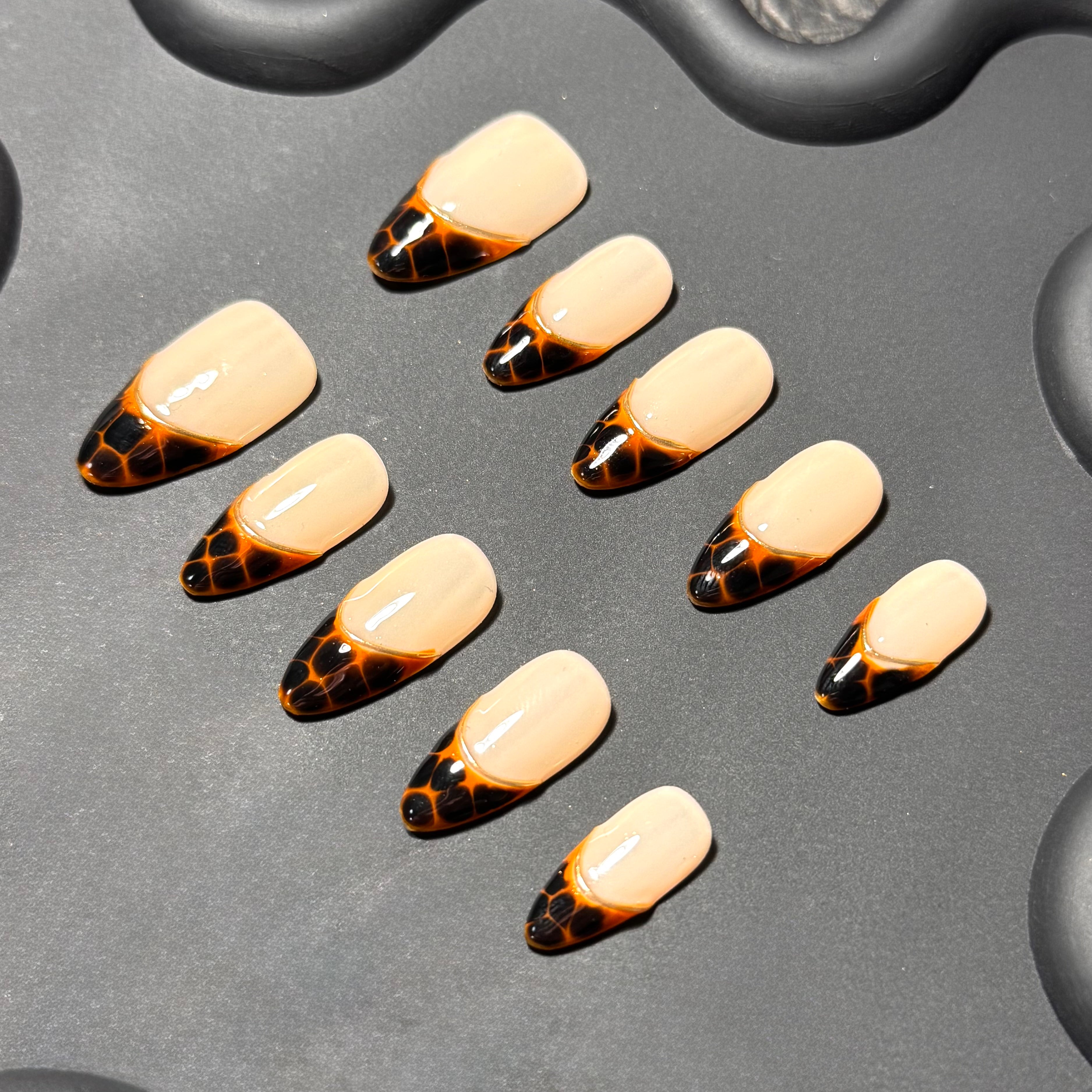 Amber Tortoise French